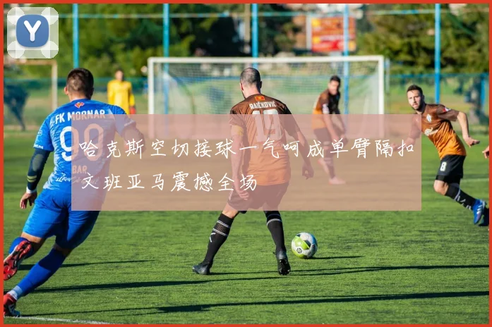 哈克斯空切接球一气呵成单臂隔扣文班亚马震撼全场