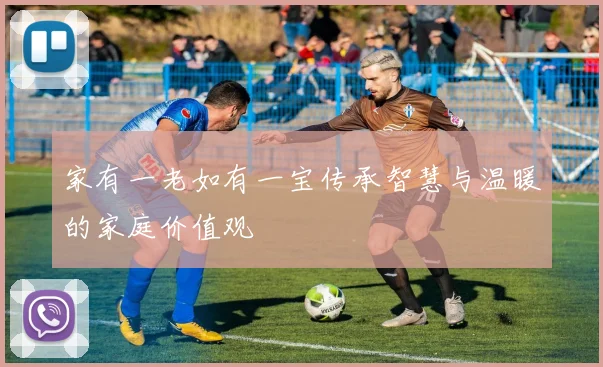 家有一老如有一宝传承智慧与温暖的家庭价值观